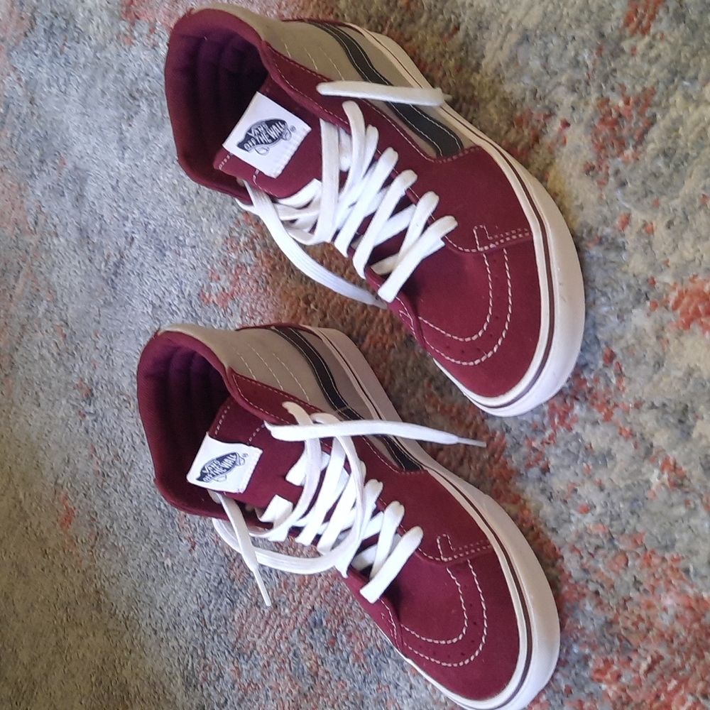 Vans skateboard Show